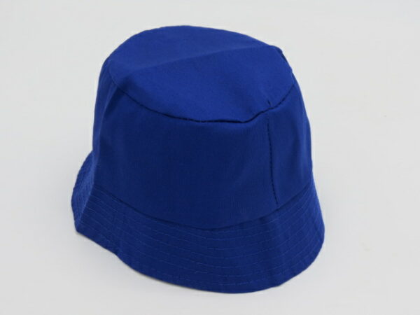 כובע פטרייה 1084